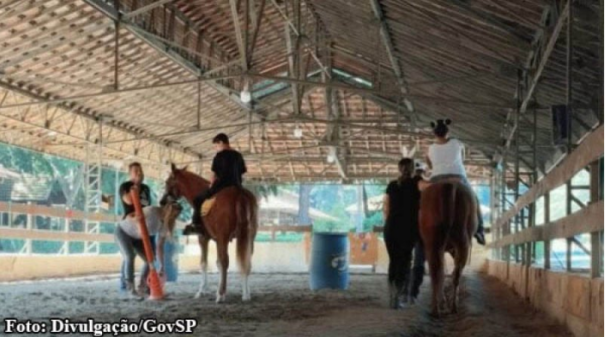 Governo de SP abre inscrições para contratar serviços de equoterapia