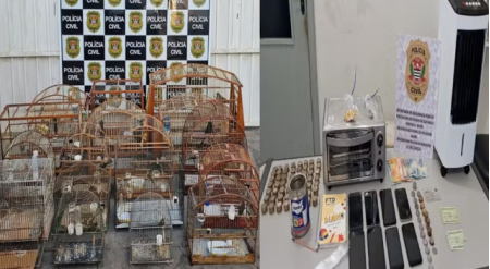 PolÃ­cia prende homem e apreende pÃ¡ssaros, drogas e produtos roubados no interior de SP