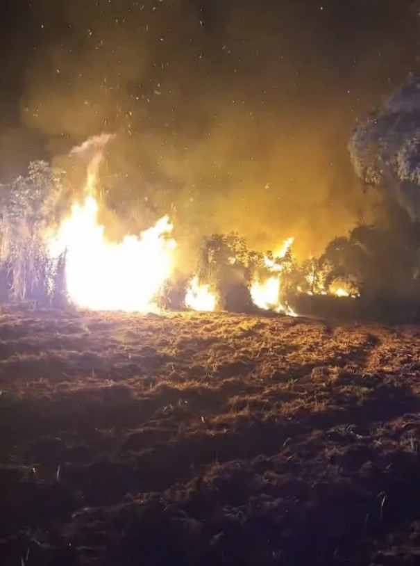 Incêndio de grandes proporções atinge área em Nova Parapuã e mobiliza bombeiros e Defesa Civil