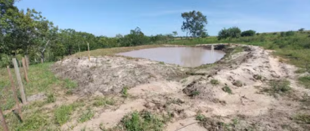 Sitiante é multado em R$ 2,6 mil e responderá criminalmente após intervir em Área de Preservação Permanente, em Pres. Bernardes