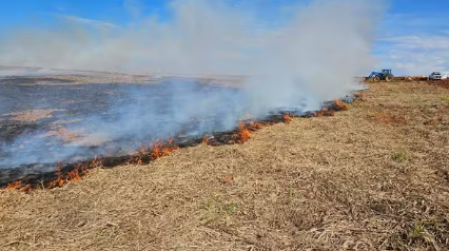 ArrendatÃ¡rio de fazenda leva multa de R$ 77 mil apÃ³s queimada atingir vegetaÃ§Ã£o em Ã¡rea de 25 hectares, em Presidente EpitÃ¡cio