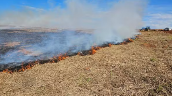Arrendatário de fazenda leva multa de R$ 77 mil após queimada atingir vegetação em área de 25 hectares, em Presidente Epitácio