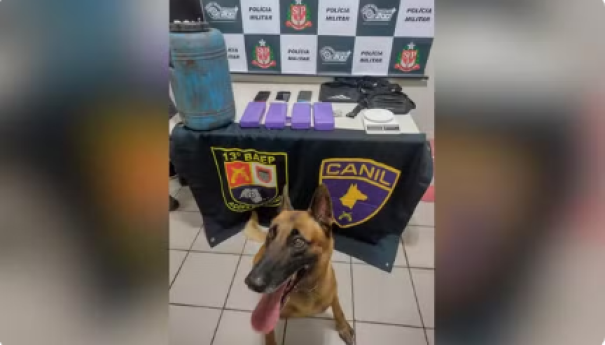 Cão farejador ajuda polícia a encontrar 10 quilos de maconha enterrados em tambor no interior de SP