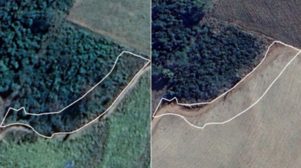 Sitiante de Flórida Paulista é multado em R$ 1,6 mil por desmatamento