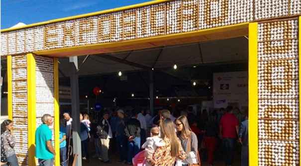 Gripe aviária faz organização adiar para agosto a Festa do Ovo 2025