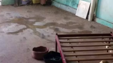 Mulher tem braÃ§o dilacerado apÃ³s ser atacada por pitbull em canil clandestino de Birigui