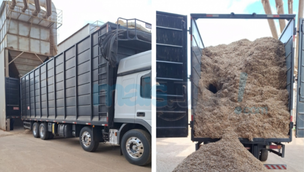 Homem morre soterrado em silo de beneficiadora de amendoim em Herculândia
