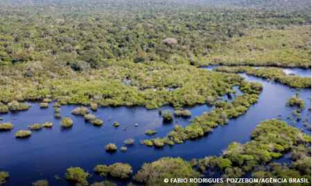 Quase todos os biomas registraram reduÃ§Ã£o do desmatamento em 2024