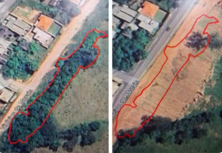 Sitiante Ã© multado em mais de R$ 10 mil por desmatamento e envenenamento de Ã¡rvores em Presidente Prudente