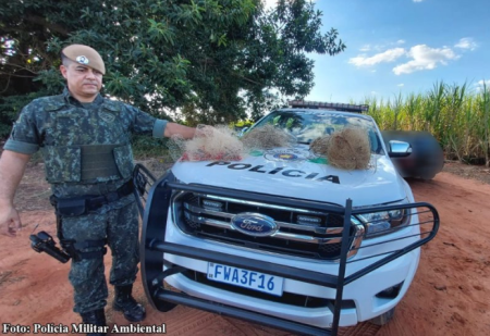 PolÃ­cia Ambiental surpreende homens com materiais de pesca proibido em Arco-Ãris