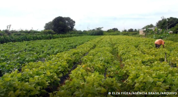 Câmara aprova política que estimula permanência de jovens no campo