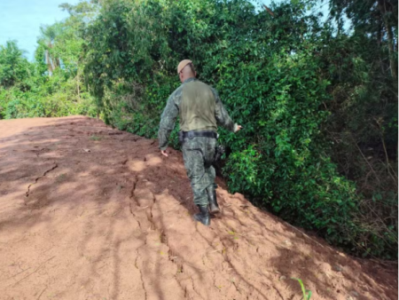 Homem Ã© multado em mais de R$ 4,4 mil por degradar Ãrea de PreservaÃ§Ã£o Permanente Ã s margens do Rio ParanÃ¡, em Rosana