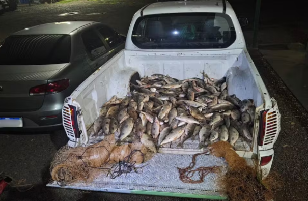 Polícia Ambiental confisca mais de 100 kg de peixes em Nantes