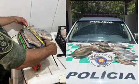 PolÃ­cia Ambiental apreende mais de 10 kg de peixes nativos e multa pescador em Panorama