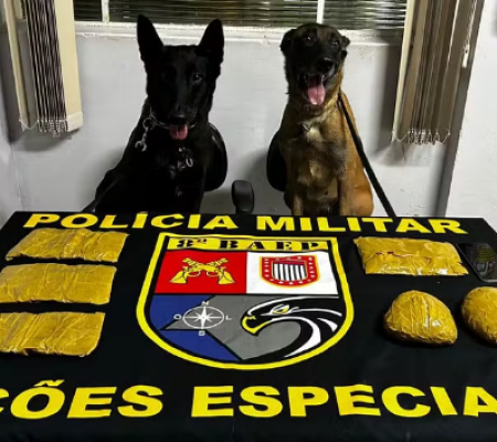 Cadela do BAEP descobre drogas escondidas em Presidente Prudente