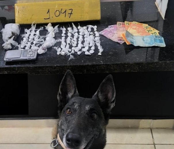 Casal é preso por tráfico de drogas em Adamantina