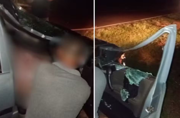 Carro bate em vaca solta na rodovia SP-613 e deixa dois feridos em Rosana