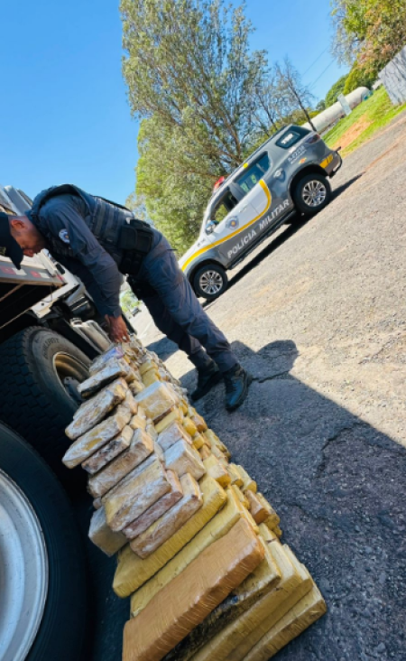 PolÃ­cia apreende 181 quilos de maconha em carreta e prende motorista em Presidente Prudente