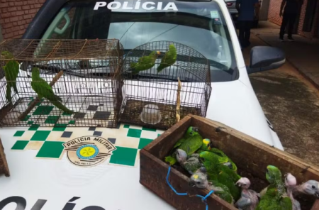 Dupla Ã© multada em R$ 182 mil por trÃ¡fico de aves em Teodoro Sampaio