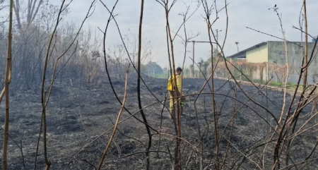 IncÃªndio atinge Ã¡rea de vegetaÃ§Ã£o prÃ³xima Ã  SP-270 em Presidente Prudente