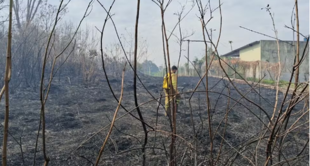 Incêndio atinge área de vegetação próxima à SP-270 em Presidente Prudente