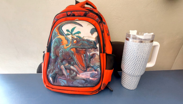 Polícia Militar prende mulher acusada de furto, em Osvaldo Cruz