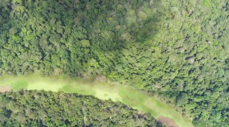 Vetos de Lula Ã  lei de licenciamento ambiental vÃ£o a voto