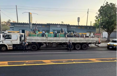 PolÃ­cia apreende quase 8 toneladas de maconha em rodovia de Adamantina