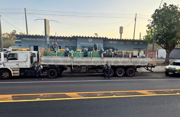 Polícia apreende quase 8 toneladas de maconha em rodovia de Adamantina
