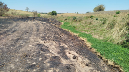 Homem Ã© multado em R$ 6,3 mil por uso de fogo em vegetaÃ§Ã£o em Adamantina