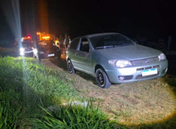 Cavalos soltos provocam acidentes na SP-294 em Herculândia