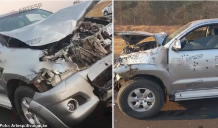 Motorista atropela cinco bois que invadiram a SP-294 em Duartina