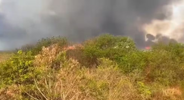 Oito caminhões-pipa são usados para combater incêndio em canavial entre Dracena e Junqueirópolis