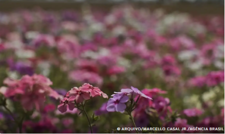 Primavera comeÃ§a com chegada de frente fria, temporais e fortes ventos