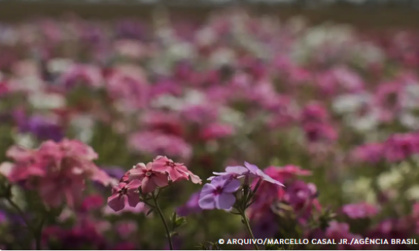 Primavera começa com chegada de frente fria, temporais e fortes ventos
