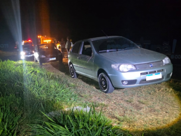 Cavalos soltos provocam acidentes na SP-294 em Herculândia