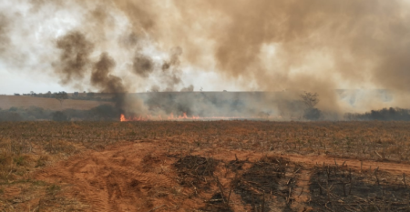 Grande incÃªndio atinge Ã¡rea de 150 alqueires em RinÃ³polis e mobiliza forÃ§as de combate