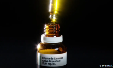 Anvisa aprova cultivo de cannabis por empresas e amplia acesso