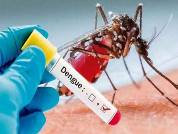 Osvaldo Cruz confirma 5 casos de dengue em novo boletim epidemiológico