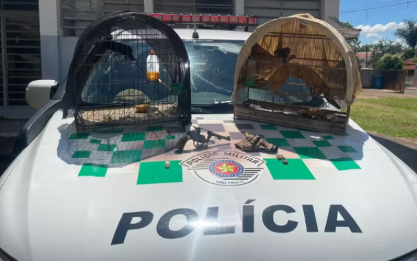 Denúncia de caça ilegal leva à prisão de dupla e apreensão de arma e aves no interior de SP