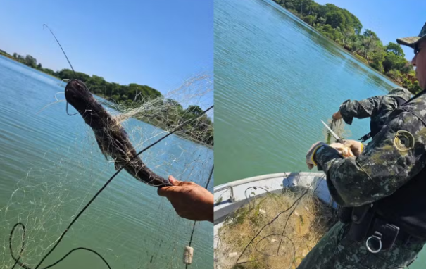 Polícia Ambiental flagra rede ilegal de 200 metros no Rio Paraná durante a Piracema em Presidente Epitácio