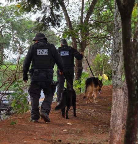 Policiais Penais impedem entrada de 30 kg de drogas e 36 celulares nos presÃ­dios da regiÃ£o