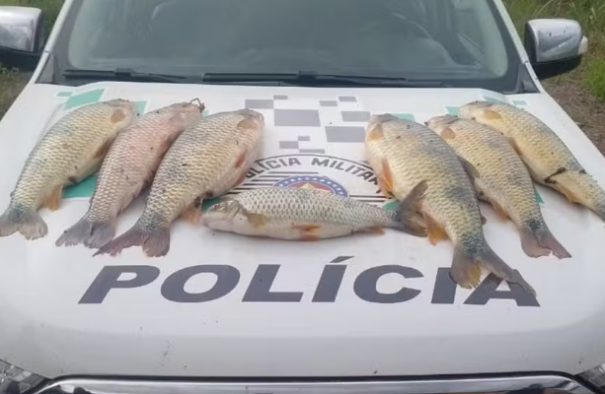 Infrações ambientais quase dobram durante a Piracema na região de Presidente Prudente