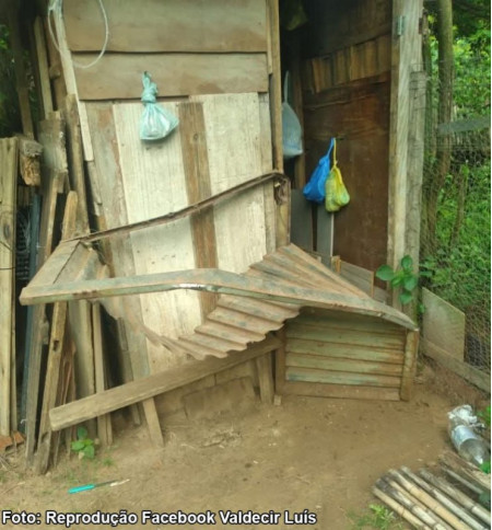 Furto em horta urbana Ã© registrado na madrugada em Bastos