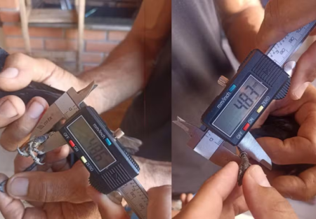 Homem Ã© multado em R$ 10 mil por informaÃ§Ã£o falsa em sistema de controle de aves no interior de SP