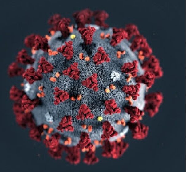 Osvaldo Cruz registra 25 casos positivos de Covid-19 no início de 2026