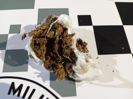 PolÃ­cia Militar registra ocorrÃªncia de porte de entorpecente em Osvaldo Cruz