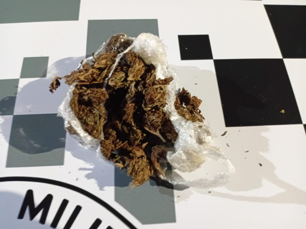 Polícia Militar registra ocorrência de porte de entorpecente em Osvaldo Cruz