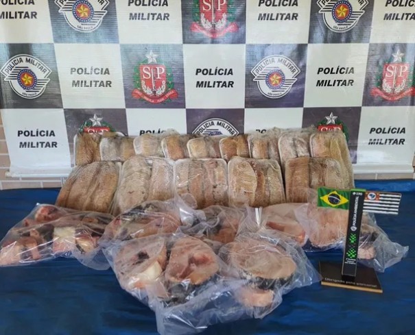 Pescadora � multada em R$ 1,4 mil por irregularidade no armazenamento de pescado, em Rosana