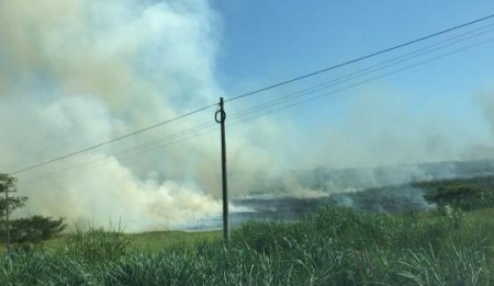 Corpo de Bombeiros de OC controlam incêndio próximo a SP-294